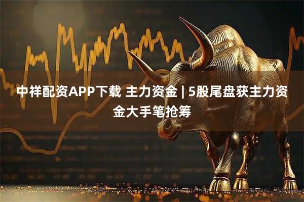 中祥配资APP下载 主力资金 | 5股尾盘获主力资金大手笔抢筹