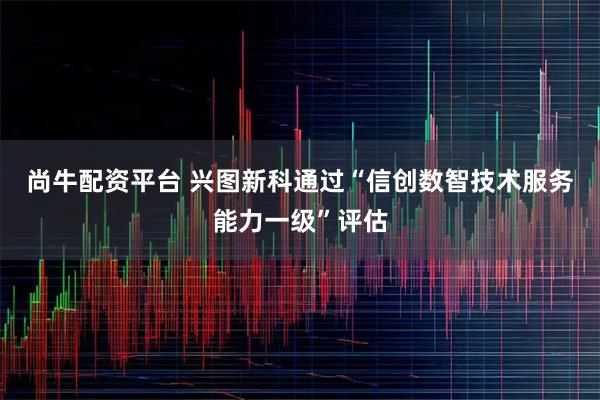 尚牛配资平台 兴图新科通过“信创数智技术服务能力一级”评估