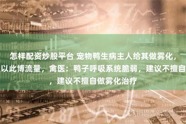 怎样配资炒股平台 宠物鸭生病主人给其做雾化，当事人否认以此博流量，禽医：鸭子呼吸系统脆弱，建议不擅自做雾化治疗