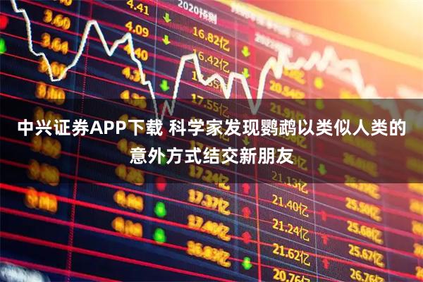 中兴证券APP下载 科学家发现鹦鹉以类似人类的意外方式结交新朋友