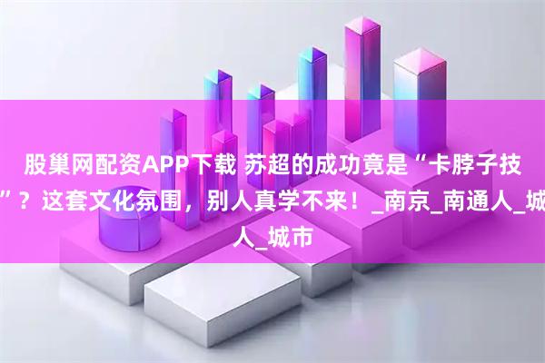 股巢网配资APP下载 苏超的成功竟是“卡脖子技术”？这套文化氛围，别人真学不来！_南京_南通人_城市
