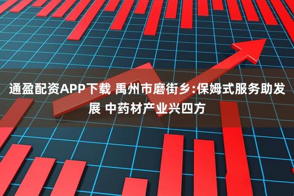 通盈配资APP下载 禹州市磨街乡:保姆式服务助发展 中药材产业兴四方