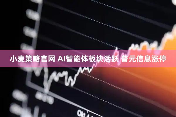 小麦策略官网 AI智能体板块活跃 普元信息涨停