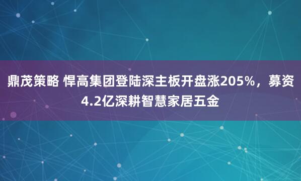 鼎茂策略 悍高集团登陆深主板开盘涨205%,募资4.2亿深耕智慧家居五金