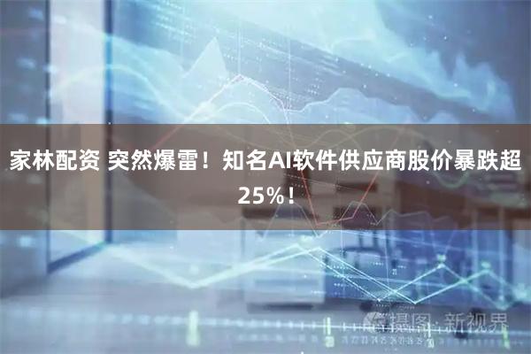 家林配资 突然爆雷！知名AI软件供应商股价暴跌超25%！