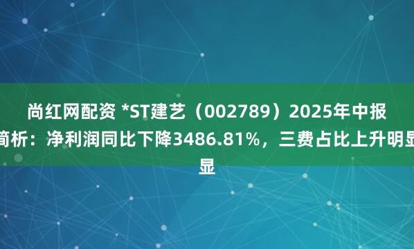 尚红网配资 *ST建艺（002789）2025年中报简析：净利润同比下降3486.81%，三费占比上升明显